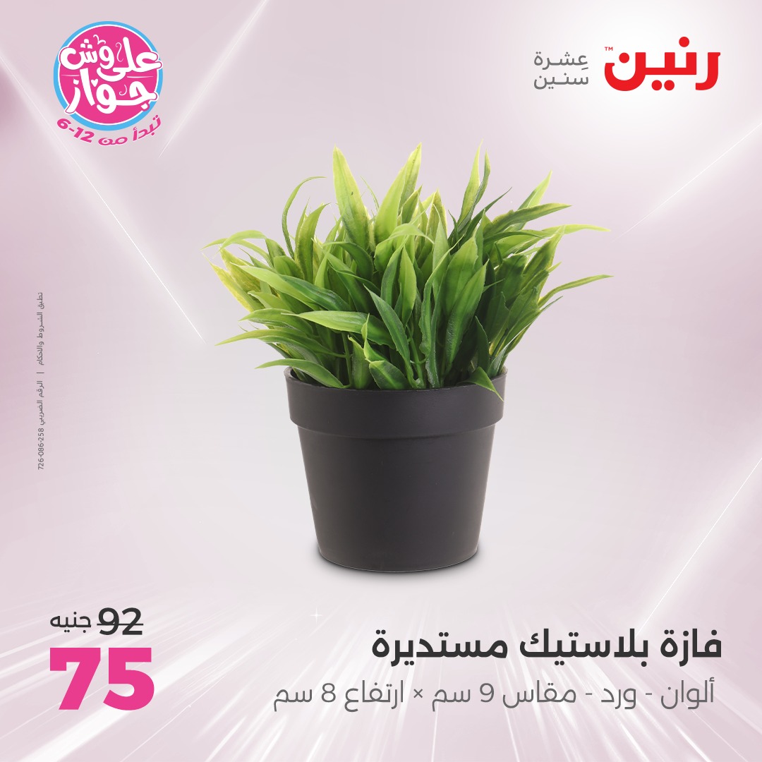 raneen offers from 24jun to 25jun 2025 عروض رنين من 24 يونيو حتى 25 يونيو 2025 صفحة رقم 13